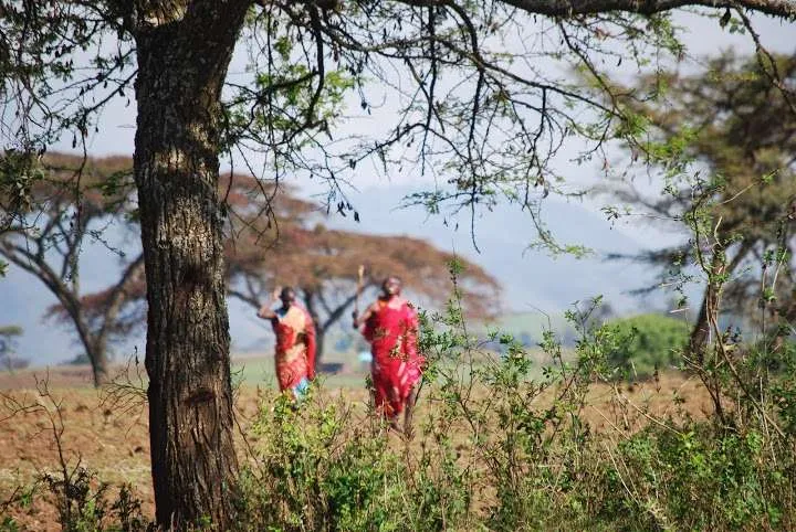 the beginning of our journey in Kenya - safari and Maasai Mara