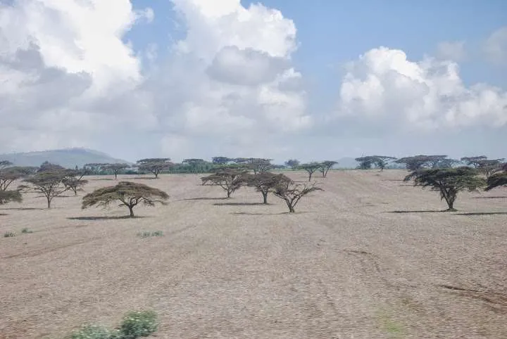 the beginning of our journey in Kenya - safari and Maasai Mara