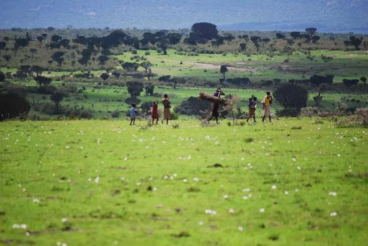 the beginning of our journey in Kenya - safari and Maasai Mara