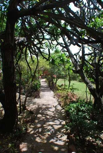 the beginning of our journey in Kenya - safari and Maasai Mara