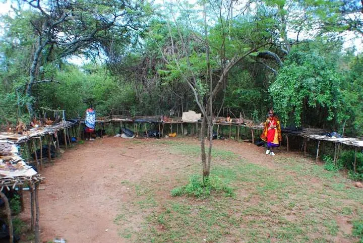 the beginning of our journey in Kenya - safari and Maasai Mara