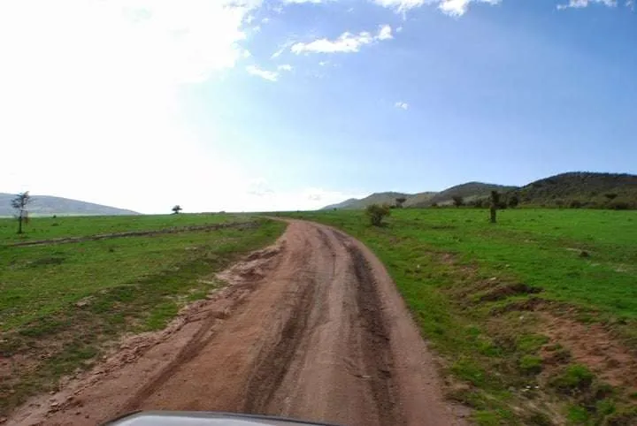the beginning of our journey in Kenya - safari and Maasai Mara
