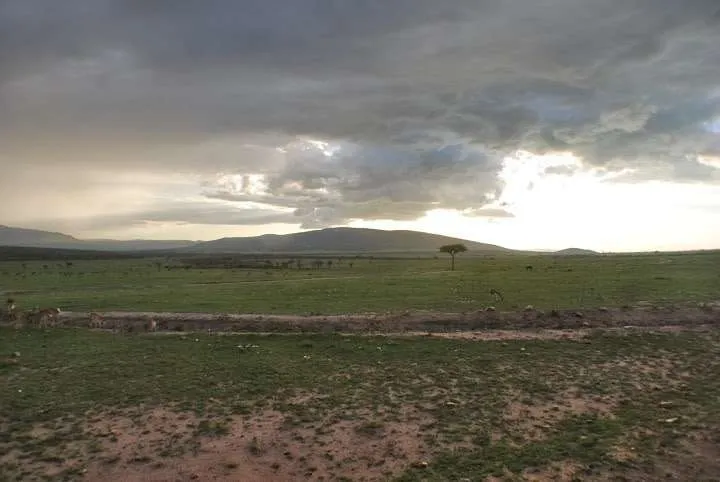 the beginning of our journey in Kenya - safari and Maasai Mara