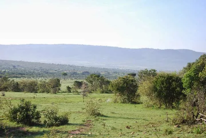 picnic, safari and village in Maasai Mara National Reserve in Kenya