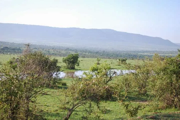 picnic, safari and village in Maasai Mara National Reserve in Kenya