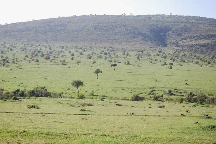 picnic, safari and village in Maasai Mara National Reserve in Kenya