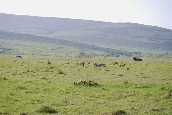 picnic, safari and village in Maasai Mara National Reserve in Kenya