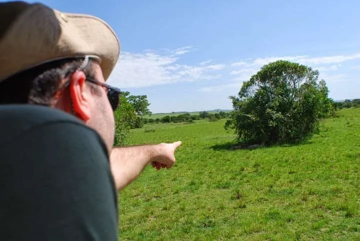 picnic, safari and village in Maasai Mara National Reserve in Kenya