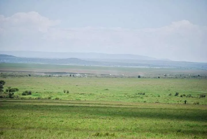 picnic, safari and village in Maasai Mara National Reserve in Kenya