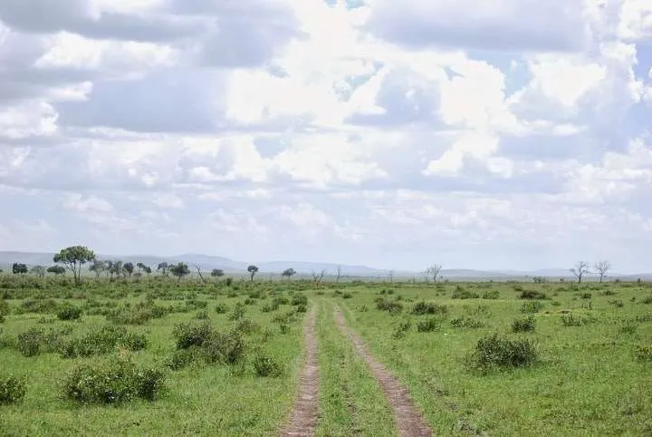 picnic, safari and village in Maasai Mara National Reserve in Kenya
