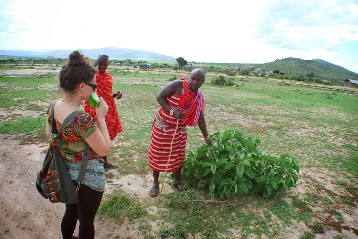 picnic, safari and village in Maasai Mara National Reserve in Kenya