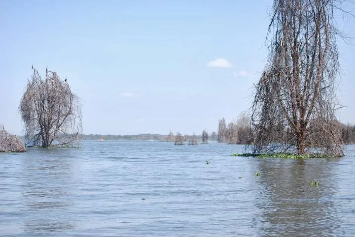 journey to lake Nayvasha and lake Nakuru in Kenya