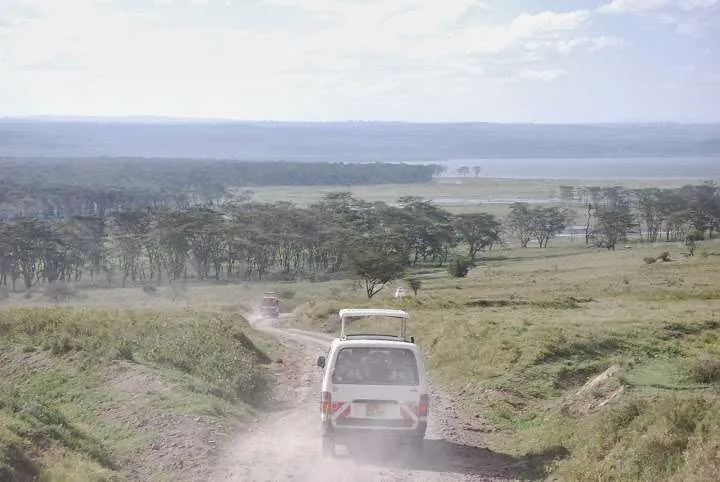 journey to lake Nayvasha and lake Nakuru in Kenya