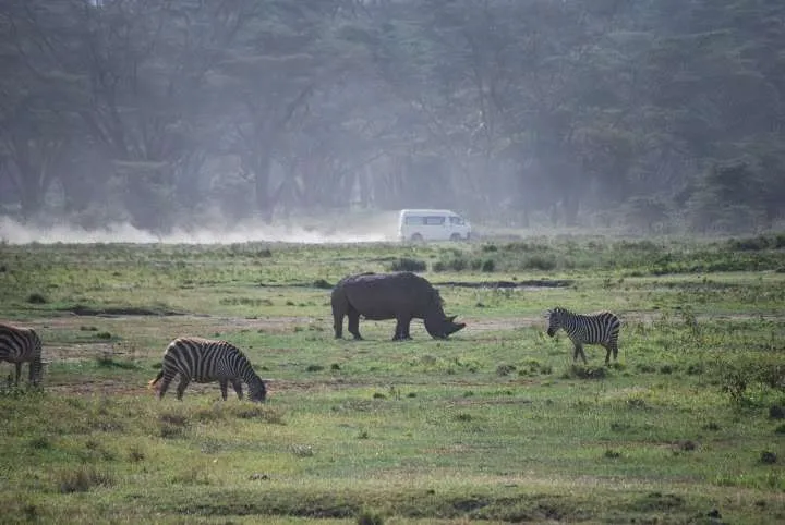 journey to lake Nayvasha and lake Nakuru in Kenya