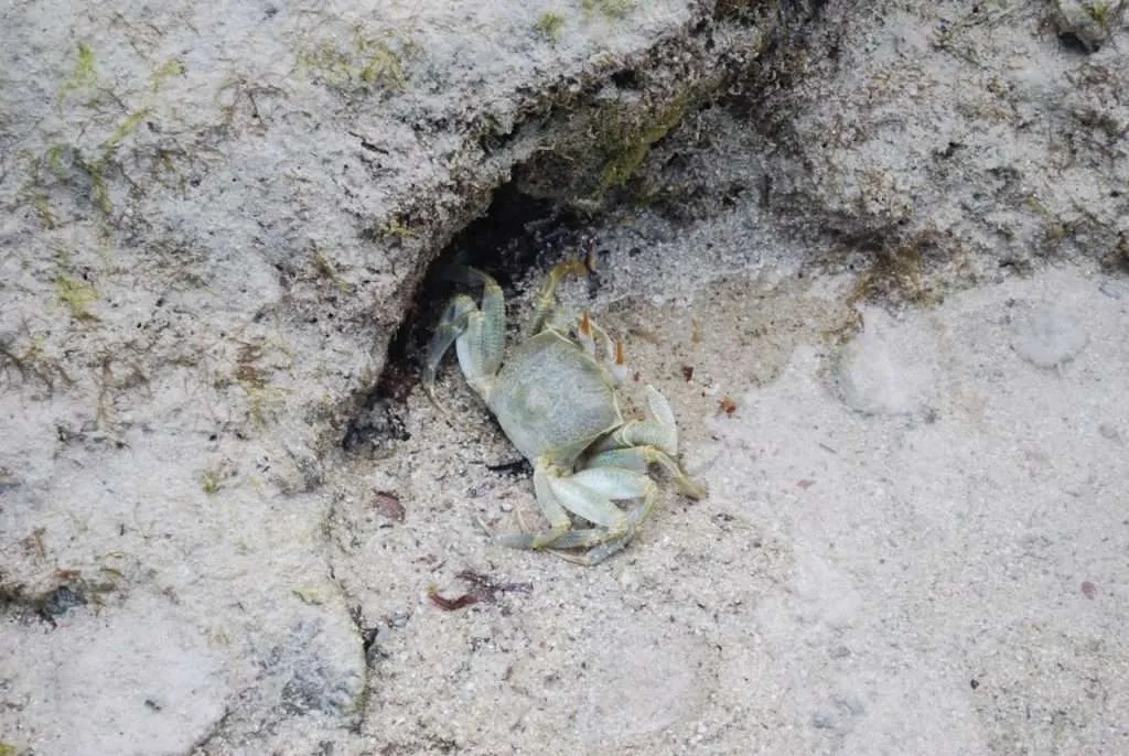 visiting Watamu in Kenya