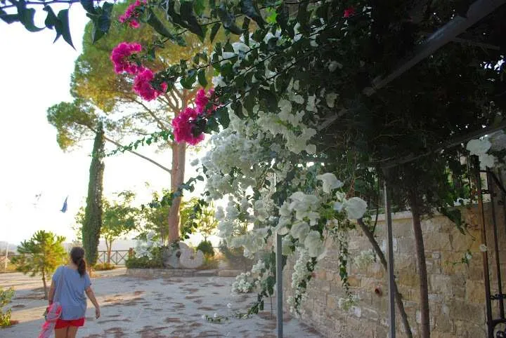 Our Cyprus island road trip itinerary - the best of Cyprus for a week, Choirokoitia village