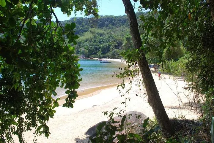 Lopes Mendes beach, Brazil