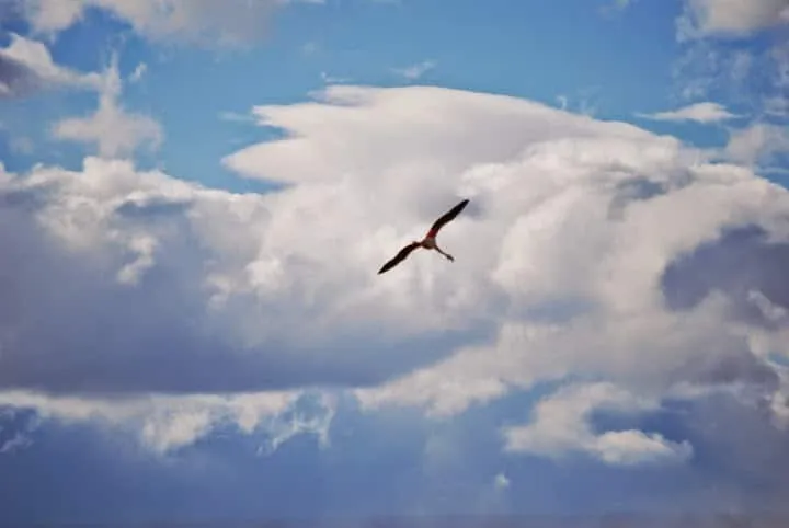 journey to the lovely village of El Calafate in Argentinian Patagonia
