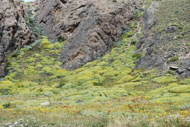 El Chalten, Patagonia, Argentina