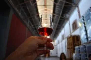 Our Mendoza wine tour in Luján de Cuyo