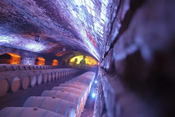 Concha y Toro winery cellars, Santiago, Chile