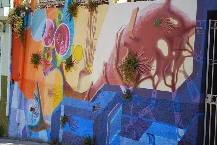 a one day trip through Valparaiso in Chile