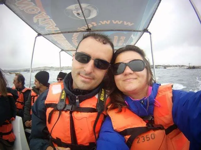 a journey with penguins, seals, dolphins and more animals in HUmboldt National Reserve in Chile