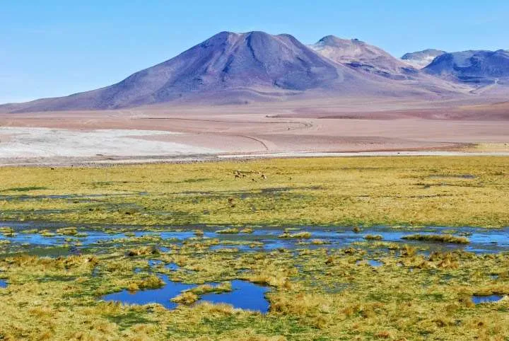 tips and ideas about trips in the Atacama Desert in Chile