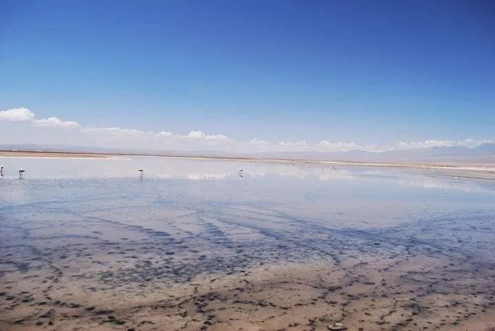tips and ideas about trips in the Atacama Desert in Chile
