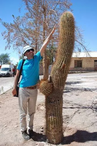 tips and ideas about trips in the Atacama Desert in Chile