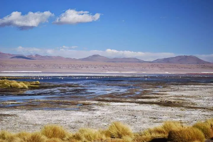journey on the road to Uyuni in Bolivia