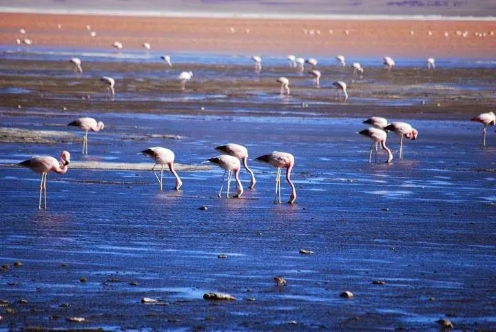journey on the road to Uyuni in Bolivia