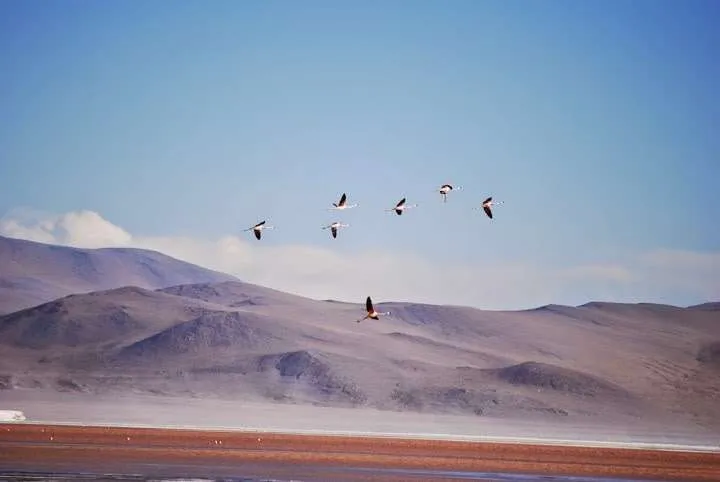 journey on the road to Uyuni in Bolivia