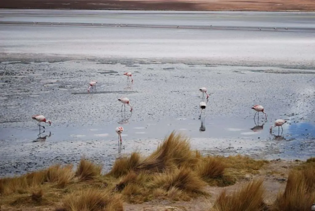 second day of adventures on the way to the salt flat Salar de Uyuni in Bolivia