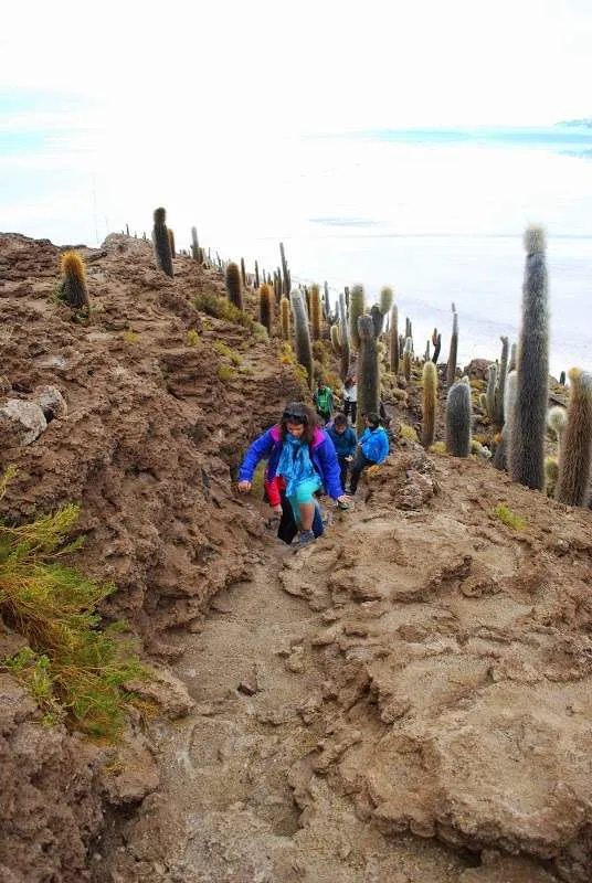 travelers share stories from Salar de Uyuni i Bolivia