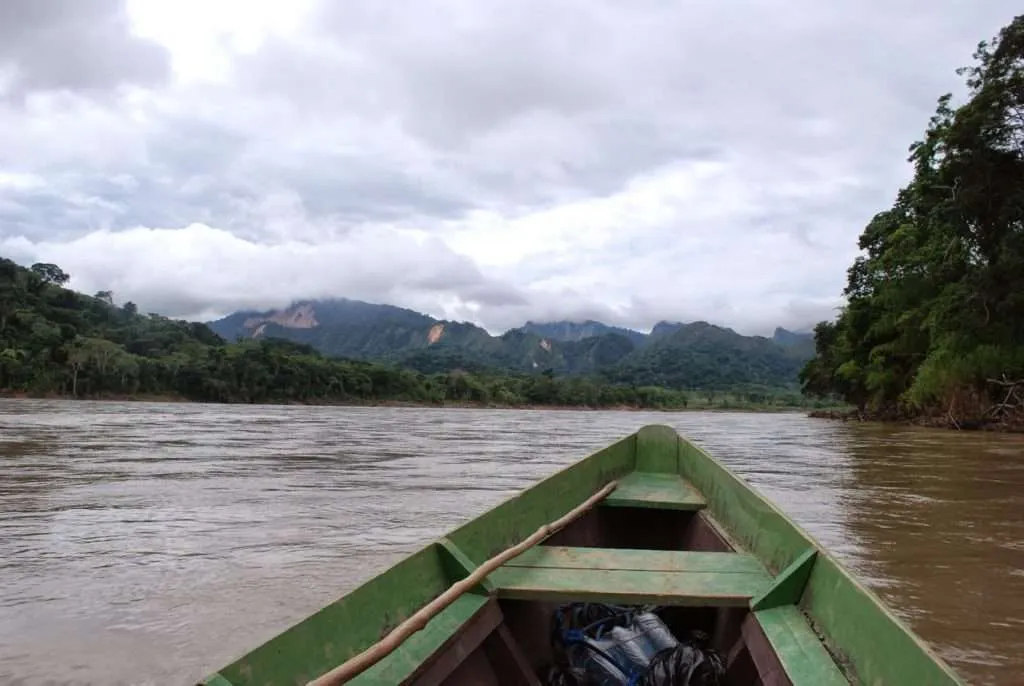 nature's wonders in Madidi jungle in Bolivia