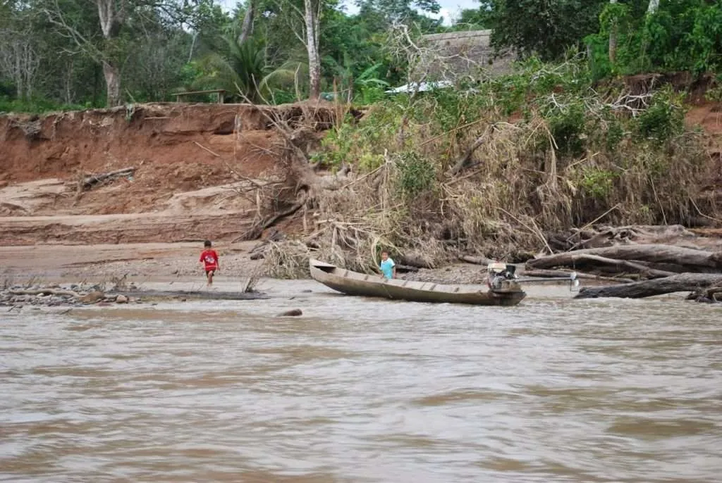 nature's wonders in Madidi jungle in Bolivia