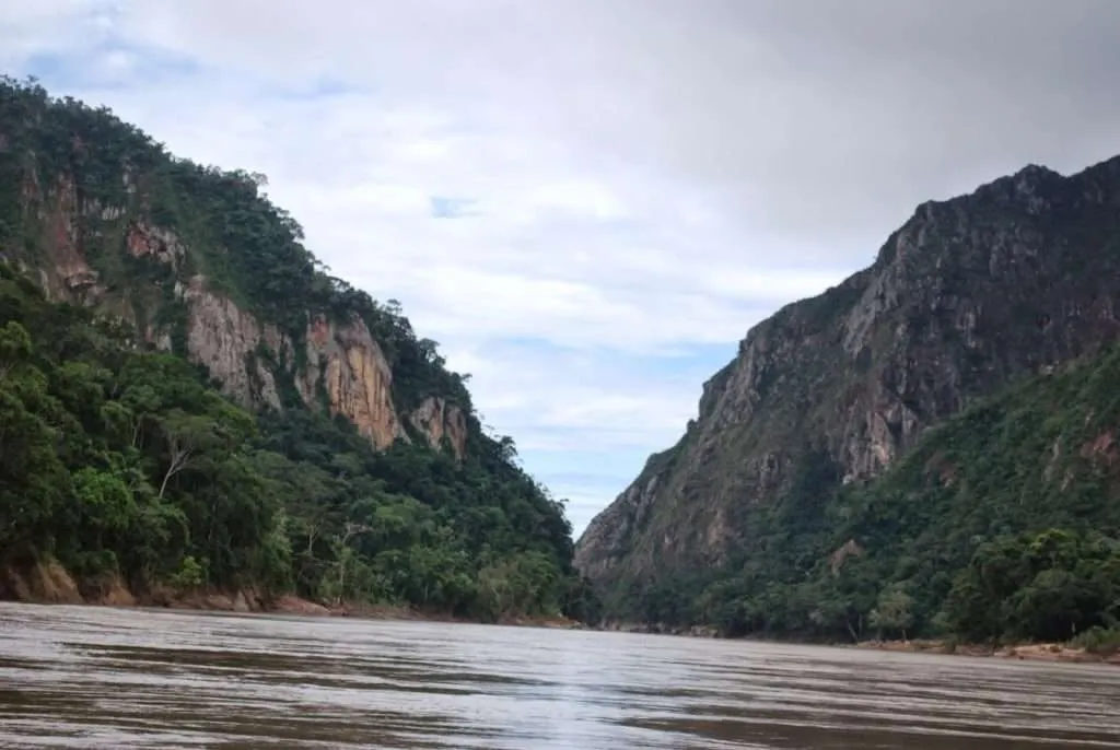 nature's wonders in Madidi jungle in Bolivia