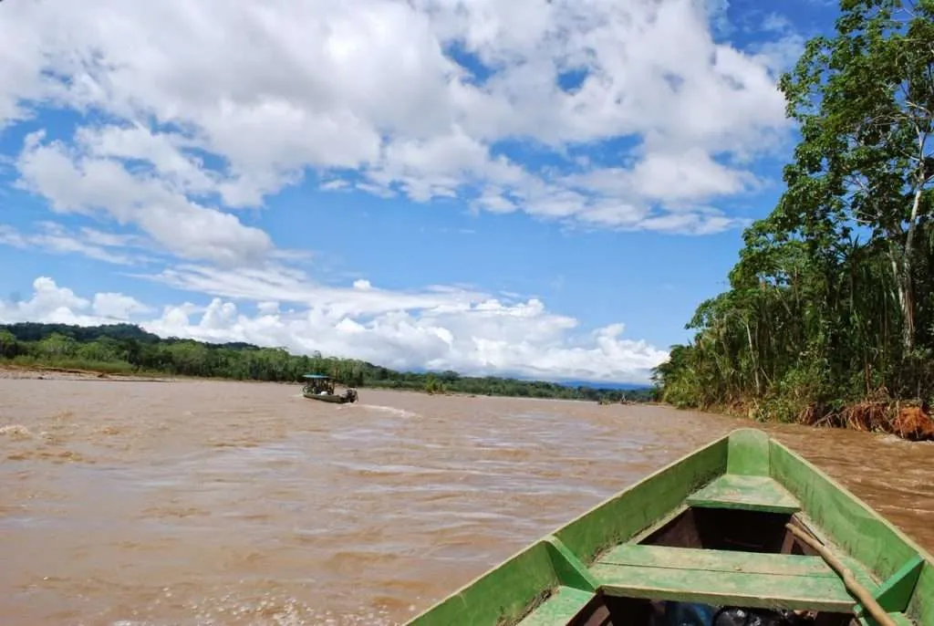 nature's wonders in Madidi jungle in Bolivia