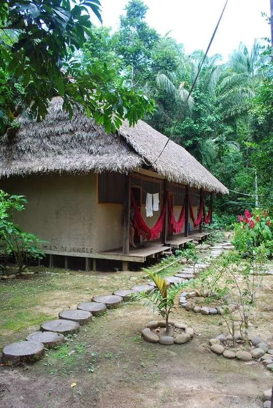 nature's wonders in Madidi jungle in Bolivia