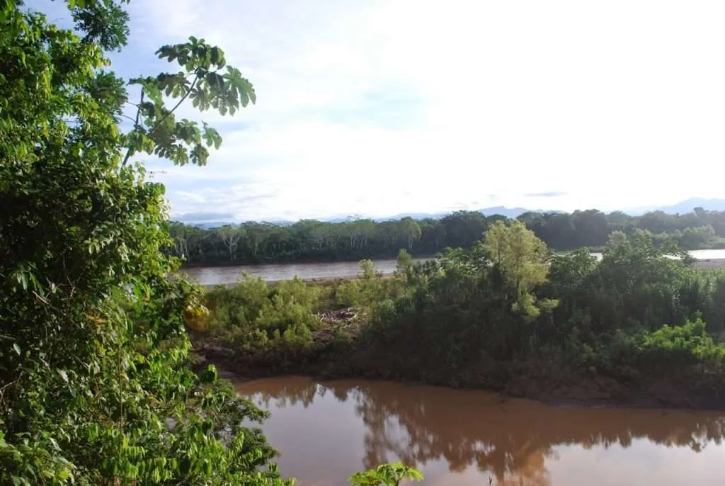nature's wonders in Madidi jungle in Bolivia