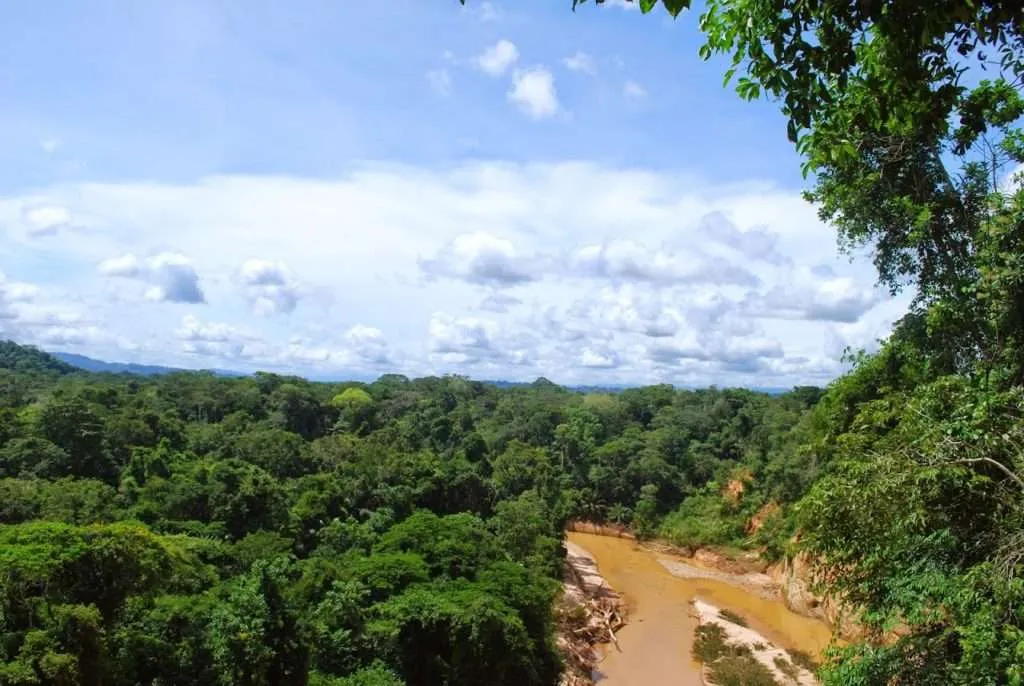 nature's wonders in Madidi jungle in Bolivia