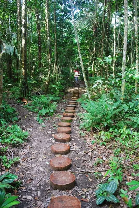 nature's wonders in Madidi jungle in Bolivia