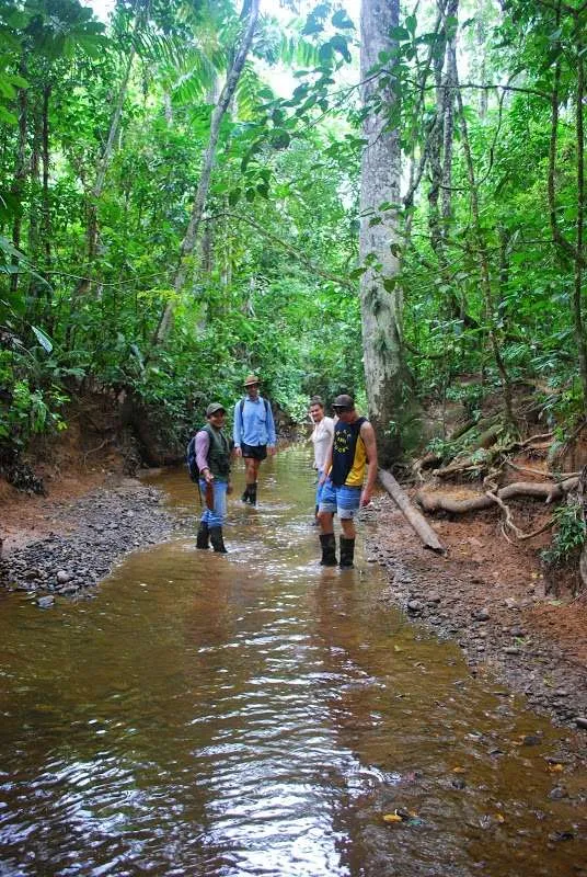 nature's wonders in Madidi jungle in Bolivia