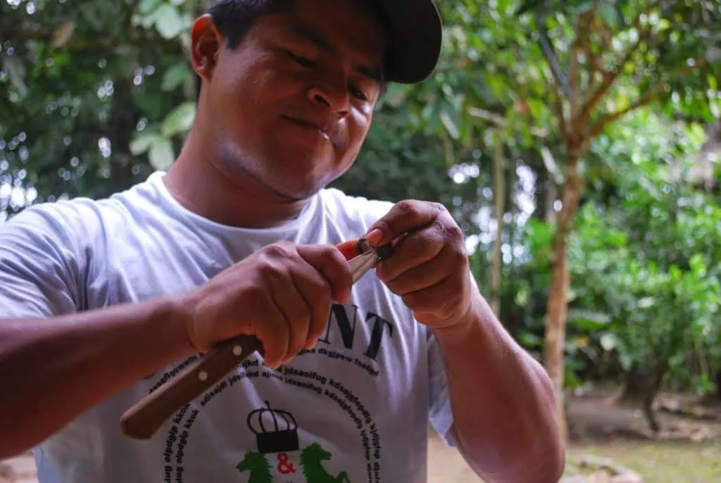 nature's wonders in Madidi jungle in Bolivia