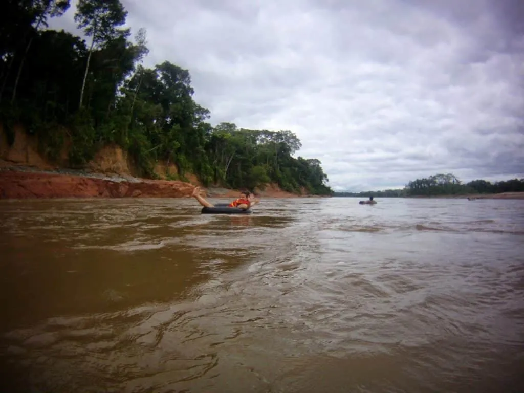 nature's wonders in Madidi jungle in Bolivia
