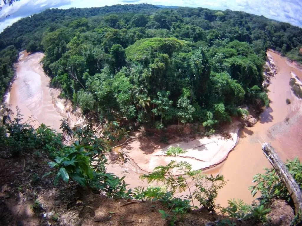 nature's wonders in Madidi jungle in Bolivia