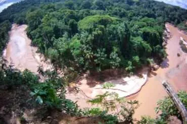 Madidi jungle – is there an order in the Bolivian Amazon?