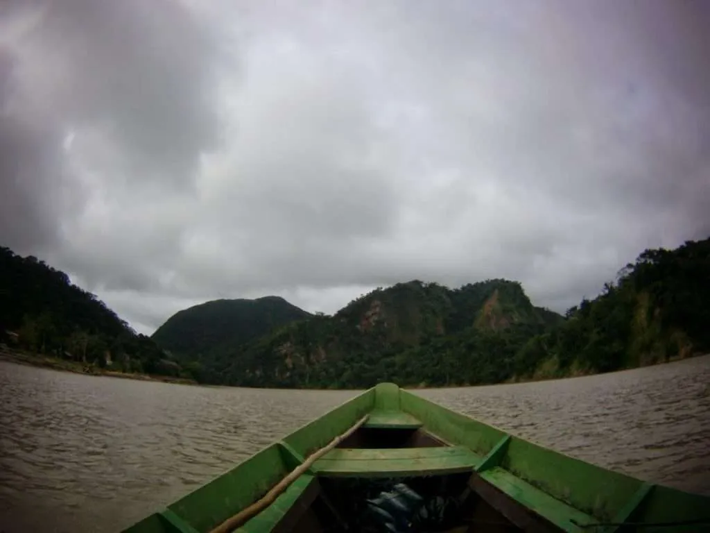 nature's wonders in Madidi jungle in Bolivia