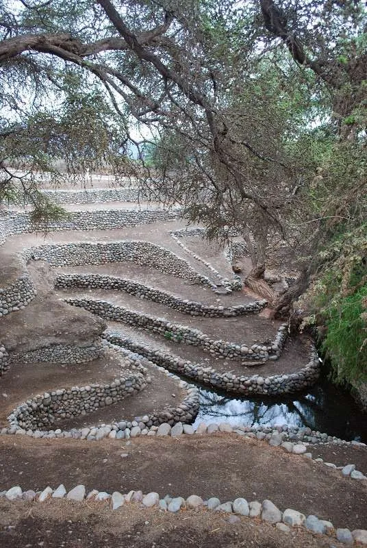 a trip over the famous Nazca lines in Peru